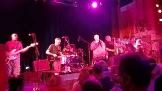 Bad Manners  Special Brew live [upl. by Salazar]