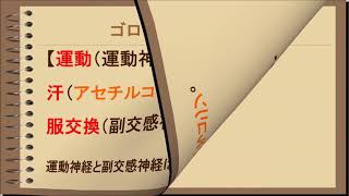 【歯科衛生士 国家試験対策】４ 末梢神経の伝達物質 Drデン山のDHスクール 歯科衛生士国家試験対策 [upl. by Raybourne]