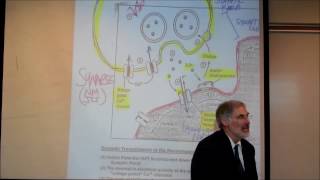 PHYSIOLOGY THE NEUROMUSCULAR JUNCTION by Professor Fink [upl. by Seiber262]