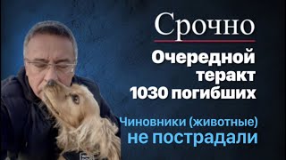 Срочно Очередной теракт1030 погибших Чиновники животные не пострадали [upl. by Ace]