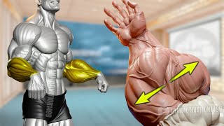 6 Effective Exercises to Get Big Veiny Forearms [upl. by Fezoj]