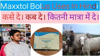 Maxxtol Bolus Uses in Hindi For Vetnery।। पशुओं में कब प्रयोग करे। ChemistRohitydv [upl. by Jentoft]