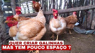 COMO CRIAR GALINHAS CAIPIRAS EM POUCO ESPAÇO [upl. by Htebazila304]