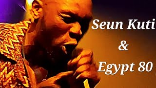 Seun Kuti amp Egypt 80  45 LeverkusenerJazztage 11112024 Germany [upl. by Atiuqa947]