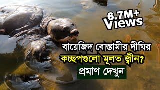 হযরত বায়েজিদ বোস্তামীর দীঘির কচ্ছপগুলো জ্বীন  Bayazid Bastami shrine in Chittagong [upl. by Adnoryt878]