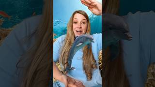 Ocean Animals 🐬 Opposites Song kidssongs kidslearning [upl. by Gwenni]