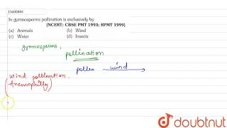 In gymnosperms pollination is exclusively by [upl. by Batruk]