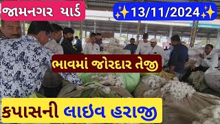 આજના કપાસ ના ભાવ  કપાસ ના બજાર ભાવ  cotton crop price  aaj na kapas na bhav jamnagar 13112024 [upl. by Annuahsal]