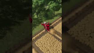 Wheat harvest  Farming Simulator 25 [upl. by Rivi]