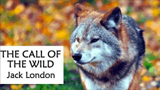 THE CALL OF THE WILD by Jack London  FULL Audiobook Chapter 1 [upl. by Nette329]