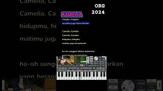 kamelia  set dangdut manual org 2024shorts [upl. by Biondo]