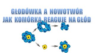 Głodówką w nowotwór  Jak komórka reaguje na głód  Czy quotrakquot to przetrwa [upl. by Atilal265]