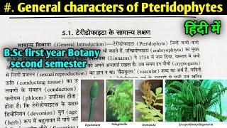 General Characters of Pteridophytes  Reproduction in Pteridophytes  BSc first year Botany [upl. by Shifra280]