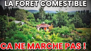 La Foret Comestible  Ca Ne Marche PAS Et LES SOL BLOQUÉ jardinduzenhome LepotagerdOlivier [upl. by Enitram]