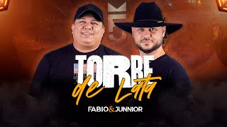 FABIO E JUNNIOR  TORRE DE LATA CLIPE OFICIAL AO VIVO NO ARROBA [upl. by Bayard]