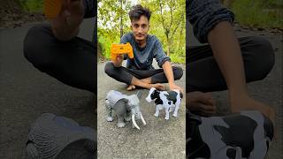 Remote control elephant 🐘 with Rc cow 🐄 testing [upl. by Reiniar]