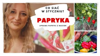 CO SIAĆ W STYCZNIU I LUTYM Uprawa papryki z nasion [upl. by Reddy]