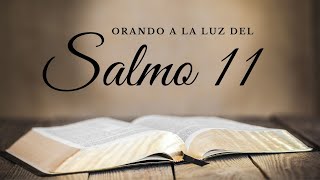 Salmo 11 Dios Es Mi Protección en Momentos Difíciles [upl. by Latif]