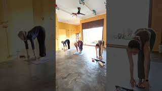 Sun Salutation A Practice shortvideo shorts suryanamaskara [upl. by Normand328]