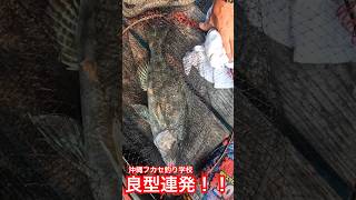 釣れない時間帯から一変！！これを皮切りにまさかの大型も連発した！沖縄 okinawa 釣り fishing フカセ釣り [upl. by Dobrinsky]