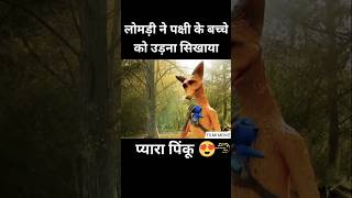 Cartoon movie in Hindi dubbed Southmovie Hollywoodmovie ytshort  shorts viralnow trending [upl. by Pepi812]