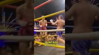 Front Kick Knock Out kickboxing muaythai mma vothuat [upl. by Tigdirb]