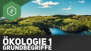 Grundbegriffe der Ökologie  Ökologie 1 [upl. by Auqinal]