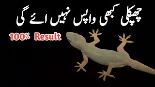 Ghar Se Chipkali Bhagane Ka TarikaGet Rid Of Lizards At HomeTips And Tricks [upl. by Setsero]