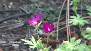 Central Oregon Waterwise Gardening [upl. by Eppie]