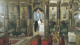 Episcopia GrecoCatolică de Oradea Live Stream [upl. by Enelym]