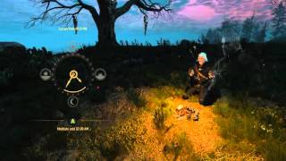 Witcher 3 Meditation UI mod [upl. by Faso]