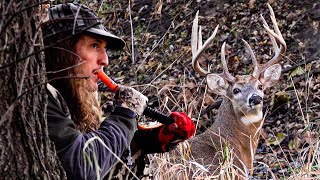 Top 3 DEER CALLING MISTAKES [upl. by Ehcar]