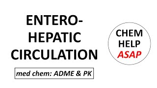 effect of enterohepatic circulation on drug halflife [upl. by Yelrebmik]