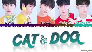 TXT  CAT amp DOG’ Lyrics Color CodedHanRomEng [upl. by Dehnel]