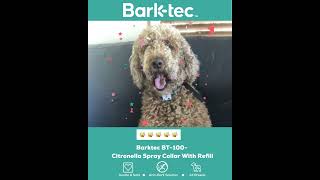 Get the Ultimate Solution to Excessive Barking  Barktec BT100 Citronella Spray Collar With Refill [upl. by Llerut]