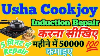 Induction Cooktop Repair The Usha Induction Cooktop Chronicles [upl. by Acined]