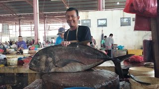 1000 Dollars Amerika  Skills In Cutting Giant Trevally Fish the Most Expensive Fish In The World [upl. by Pouncey]