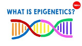 Epigenetic Control of Gene Expression MOOC [upl. by Javler891]