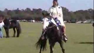 American Paint Horse at the PARADE OF BREEDS 2007 [upl. by Aneral46]