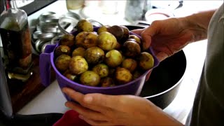 Canning Whole Figs [upl. by Syxela]