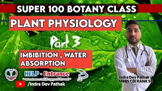 Plant Physiology part 3 DiffusionOsmosis  Water relation  plasmolysisImbibition  Absorption [upl. by Mauldon]