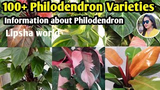 100 Philodendron Plants varieties  Philodendron Plants varietiesidentification  Lipsha world [upl. by Dina]