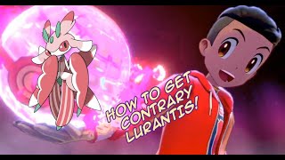 Where To Get Hidden Ability CONTRARY LURANTIS  Pokemon Sword and Shield [upl. by Eugenius]