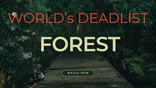 Surviving the Darien Gap The Worlds Deadliest Forest [upl. by Vallo107]