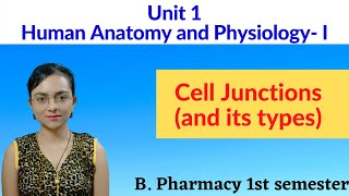 Cell Junction  types of cell junction  unit 1  Human anatomy and Physiology  B pharmacy 1st sem [upl. by Allehcram]