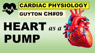 Cardiovascular System 1 Heart Structure and Function [upl. by Baxie243]