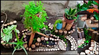 Indoor Mini Garden in Small Spaces  Made of tree branches [upl. by Goober]