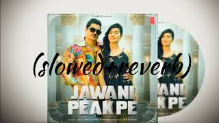 jawani peak pe slowedreverb Amit saini Rohtakiya new song [upl. by Erminie]