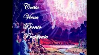 SALA EVANGELICA HIMNO 315wmv [upl. by Ahsaele71]