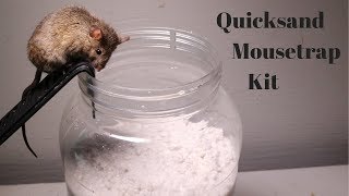 Testing Out The Quicksand Mouse Trap Kit Sold On Amazon [upl. by Daven823]